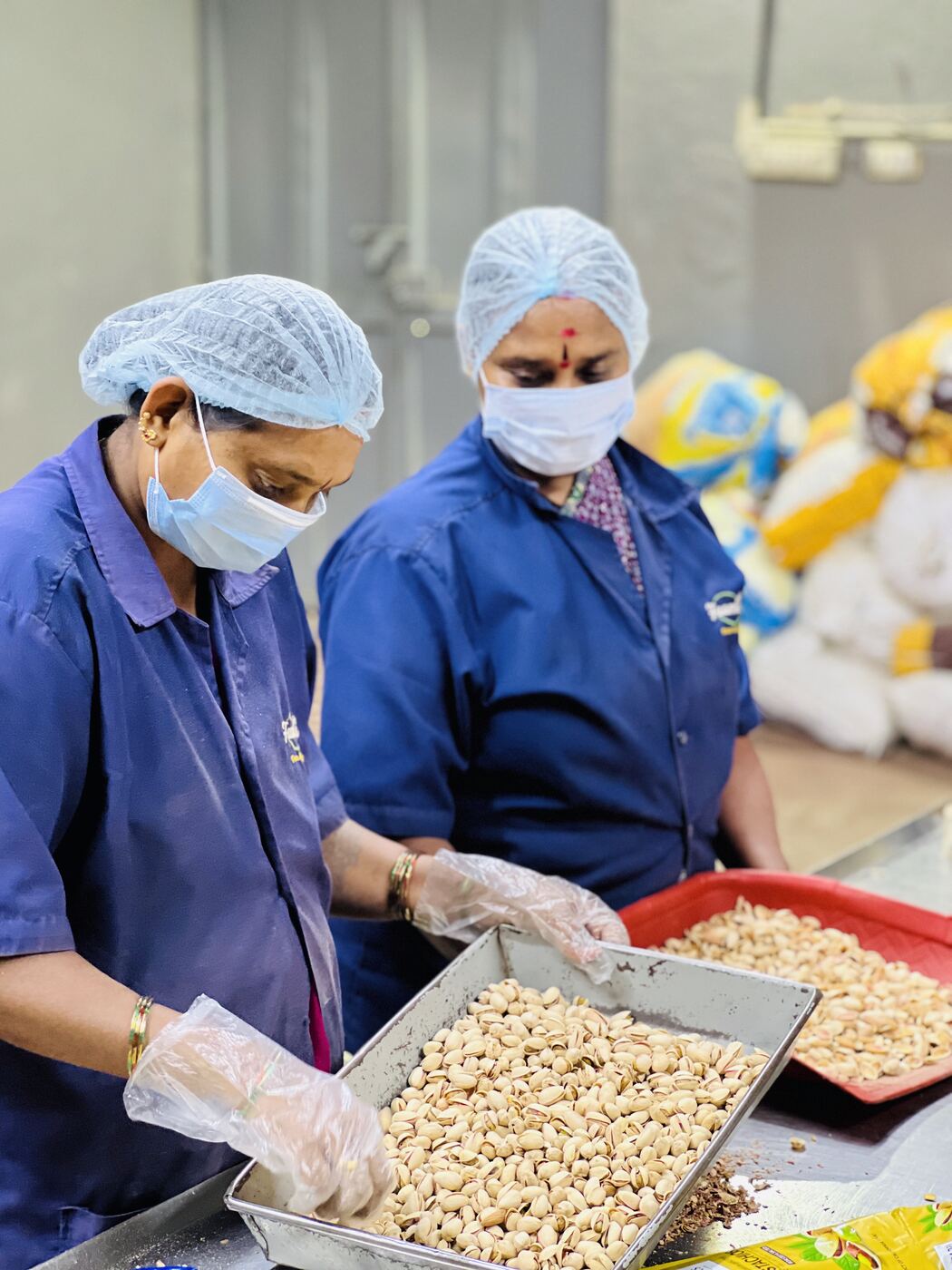 Cashew Sorting