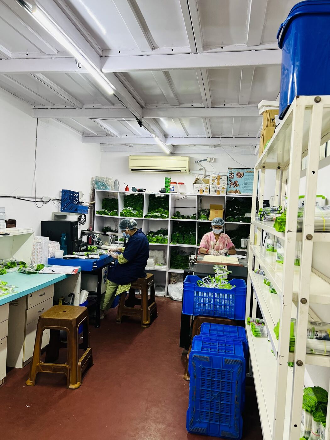 Greens Sorting Desk
