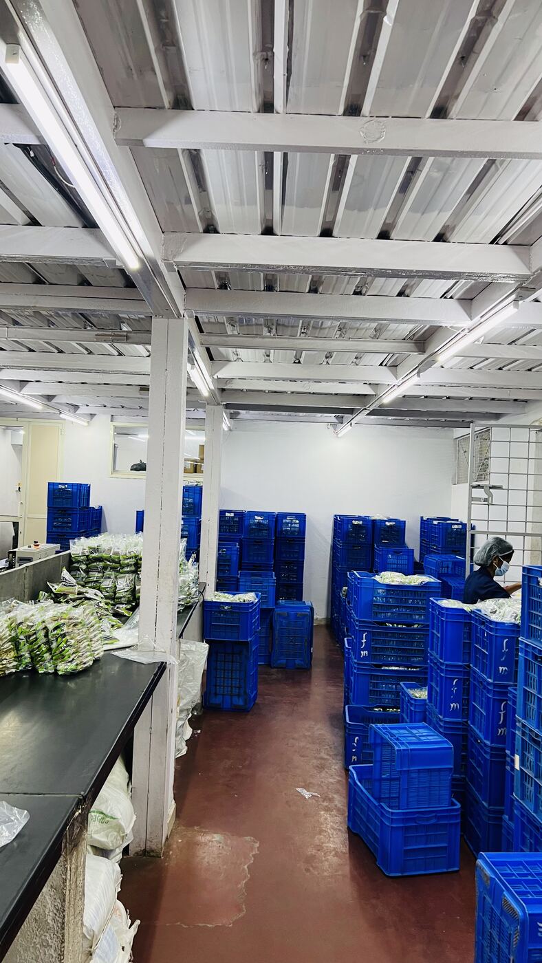 Warehouse Crates Storage